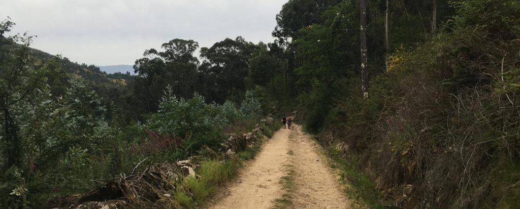 Foto eines Wegstücks auf dem Camino Portugues mit zwei Wanderern etwa 50 Meter vorraus.