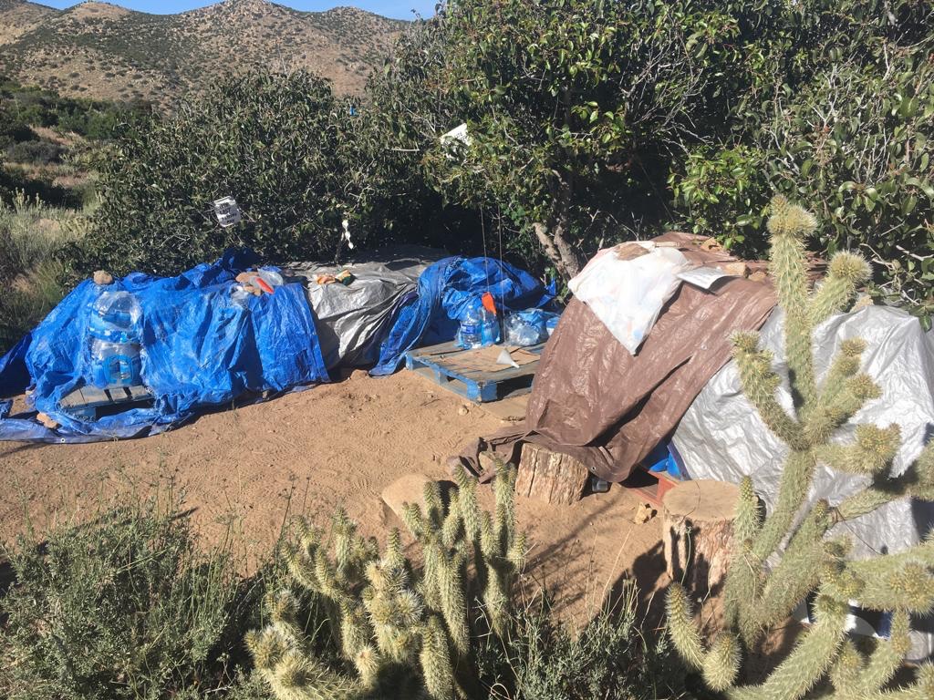 PCT Meilen 77 (Scissor Crossing) 110 Warner Springs Geh doch!